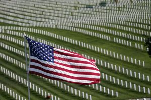 veterans day memorial images